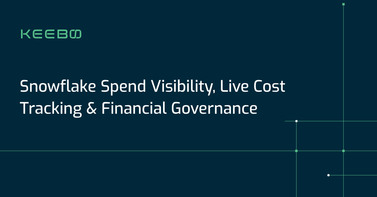 Snowflake Spend Visibility, Live Cost Tracking & Financial Governance