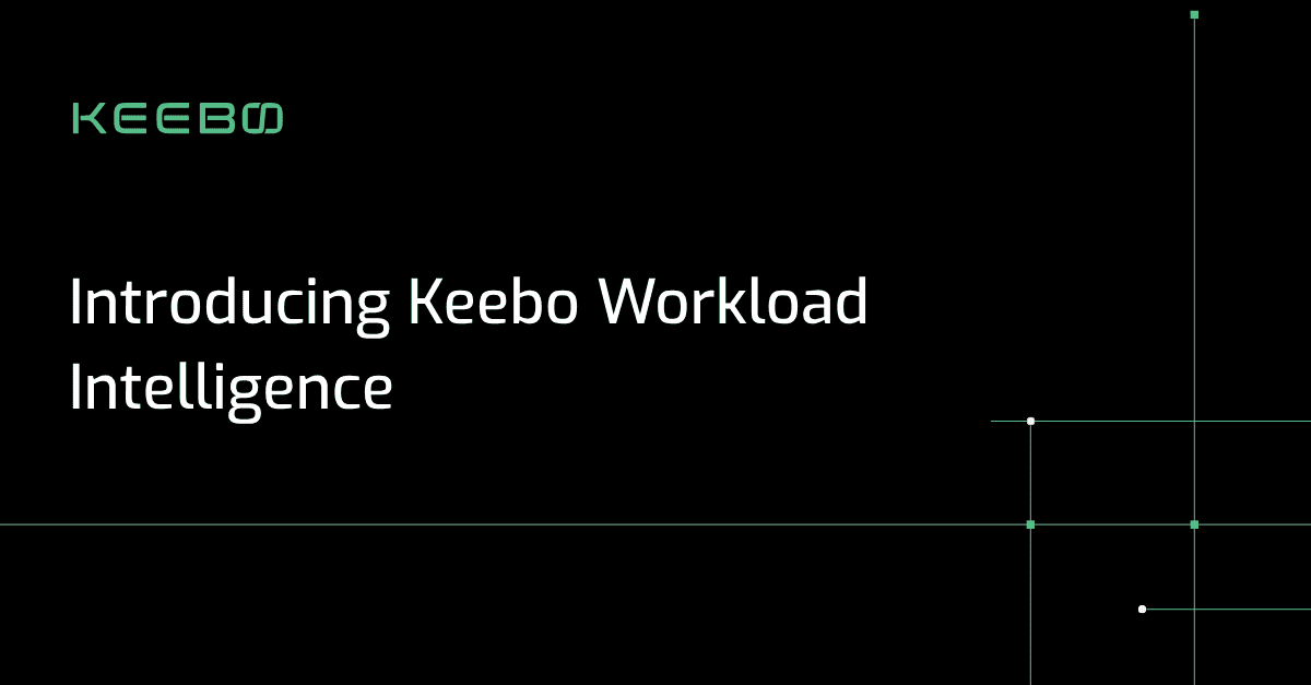 Introducing Keebo Workload Intelligence